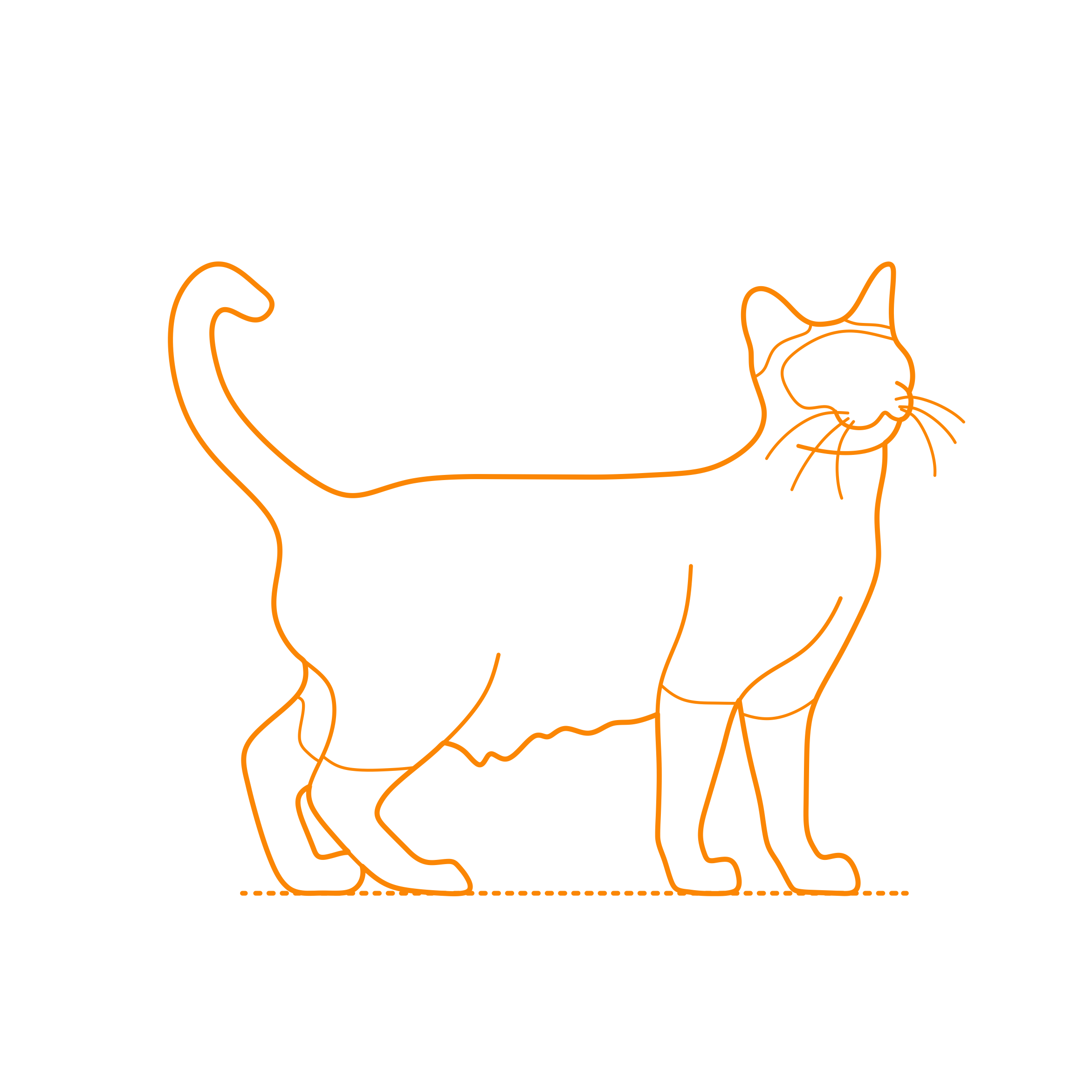 Animals Cats Tonkinese Cat Craft Design Svg File Free Vectors